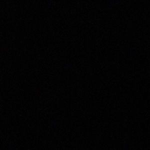 Meet your Posher, Tauni